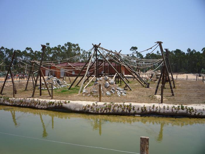 P1000233