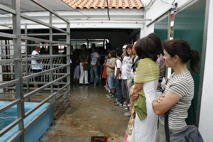 Escola_011