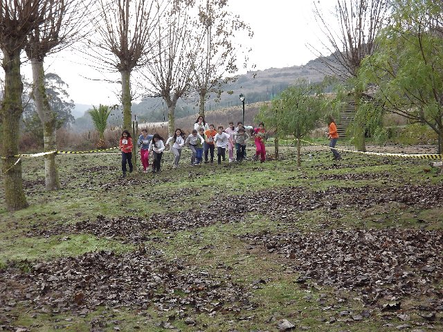 DSCF0833