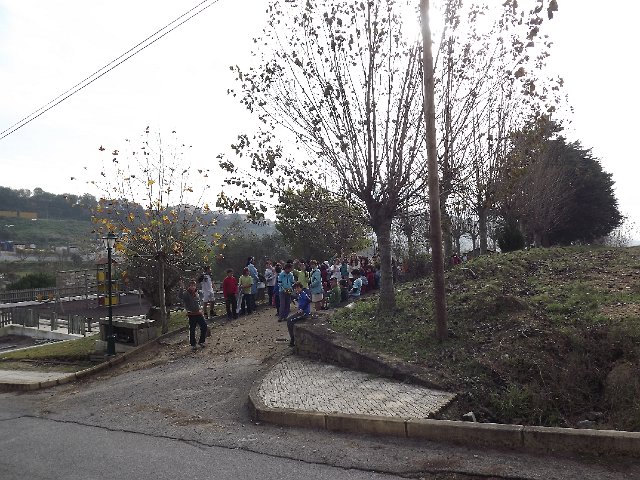 DSCF0890