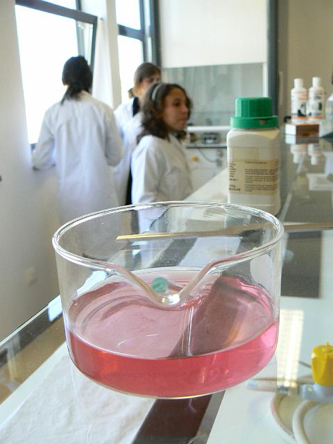 P1060645