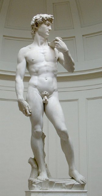 david