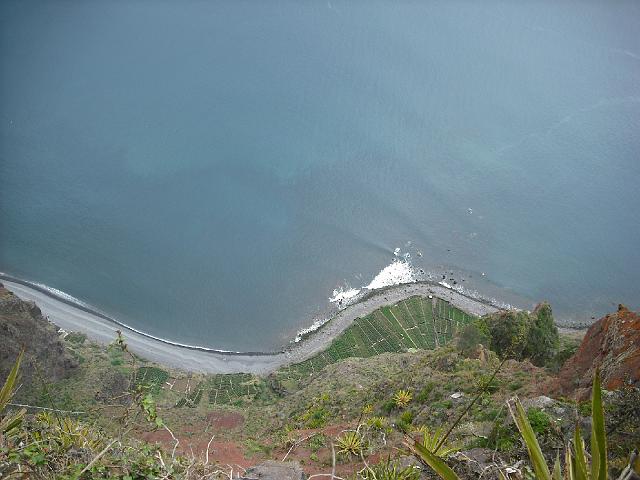 DSCF1803