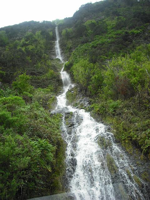 DSCF2187