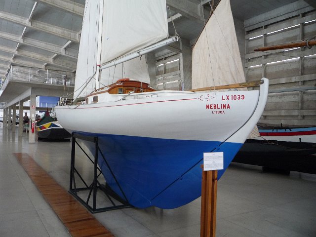 P1010229